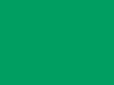 Veggie Green Color Chip